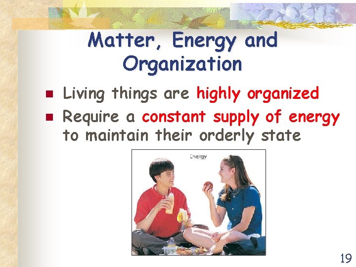 Matter, Energy and Organization n n Living things are highly organized Require a constant