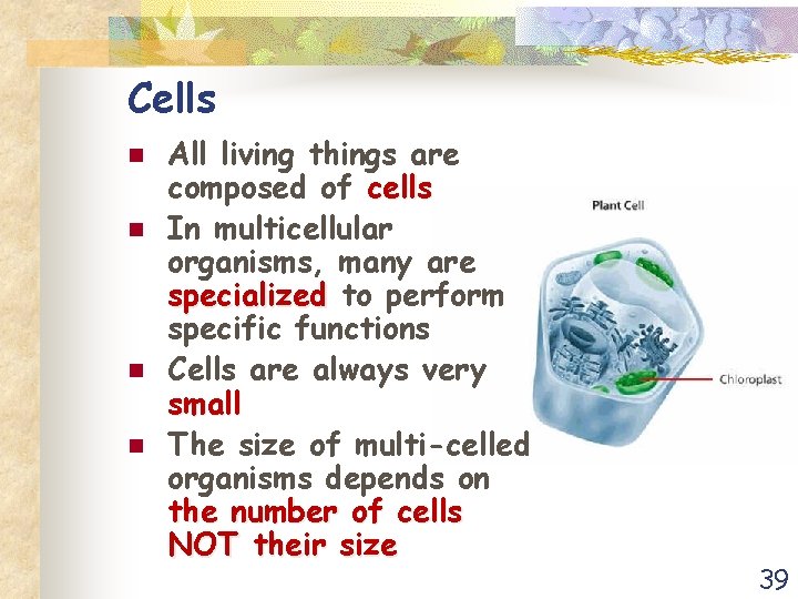 Cells n n All living things are composed of cells In multicellular organisms, many