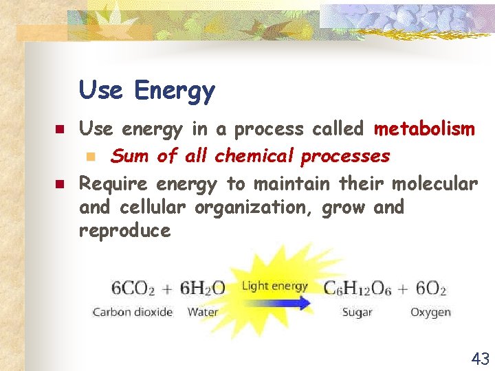 Use Energy n n Use energy in a process called metabolism n Sum of