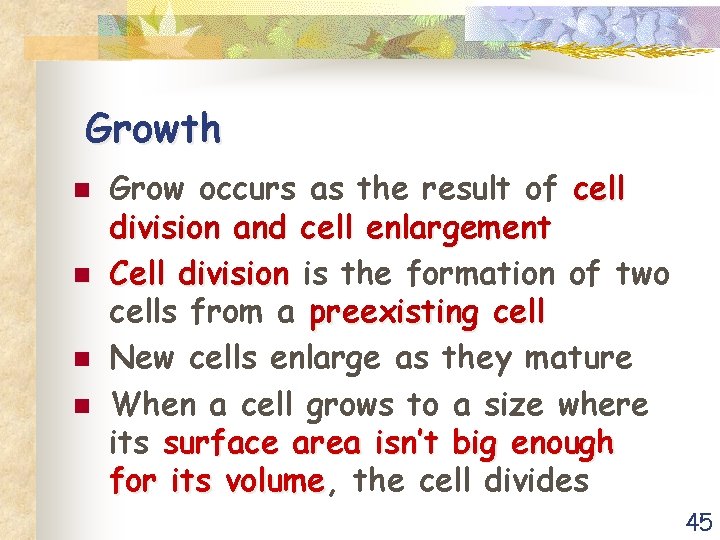 Growth n n Grow occurs as the result of cell division and cell enlargement