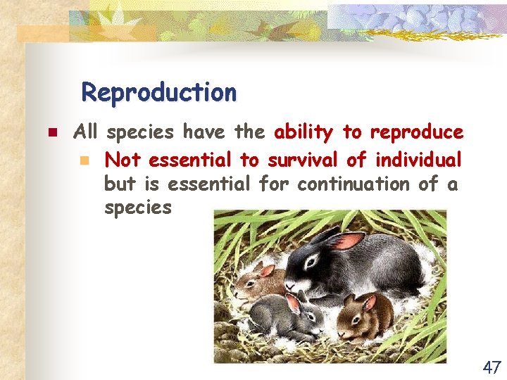 Reproduction n All species have the ability to reproduce n Not essential to survival