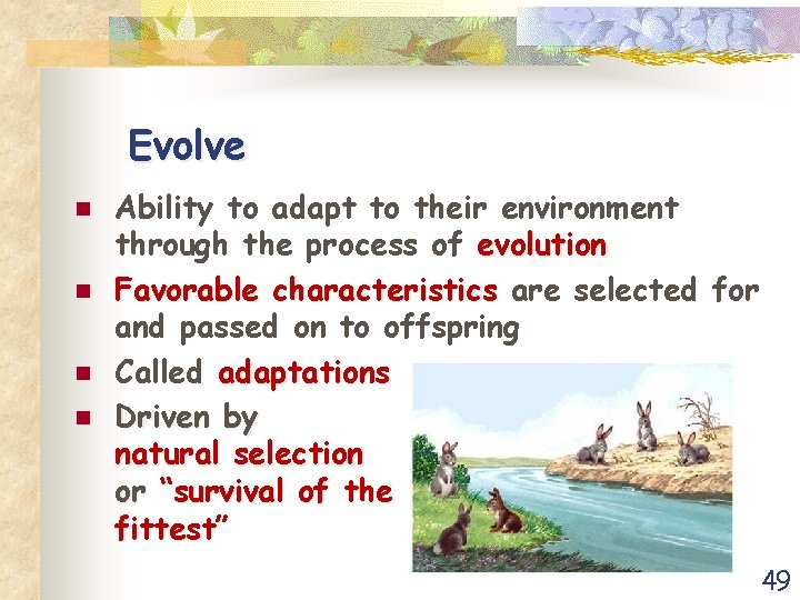Evolve n n Ability to adapt to their environment through the process of evolution