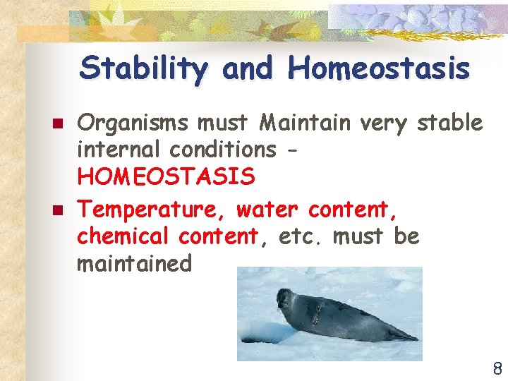 Stability and Homeostasis n n Organisms must Maintain very stable internal conditions HOMEOSTASIS Temperature,