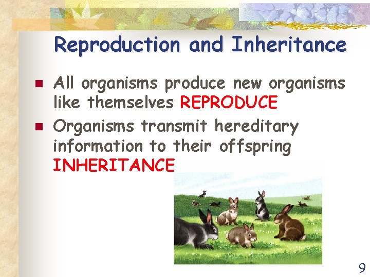 Reproduction and Inheritance n n All organisms produce new organisms like themselves REPRODUCE Organisms