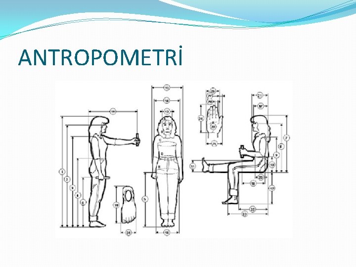  ANTROPOMETRİ 