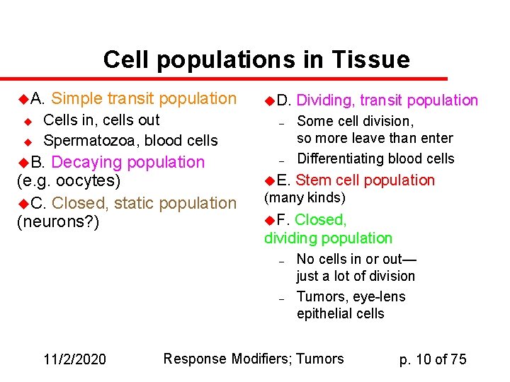 Cell populations in Tissue u. A. u u Simple transit population Cells in, cells