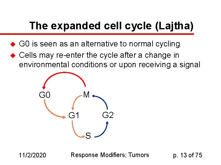 The expanded cell cycle (Lajtha) u u G 0 is seen as an alternative