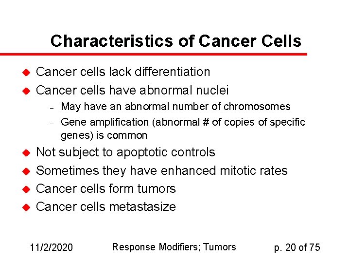 Characteristics of Cancer Cells u u Cancer cells lack differentiation Cancer cells have abnormal