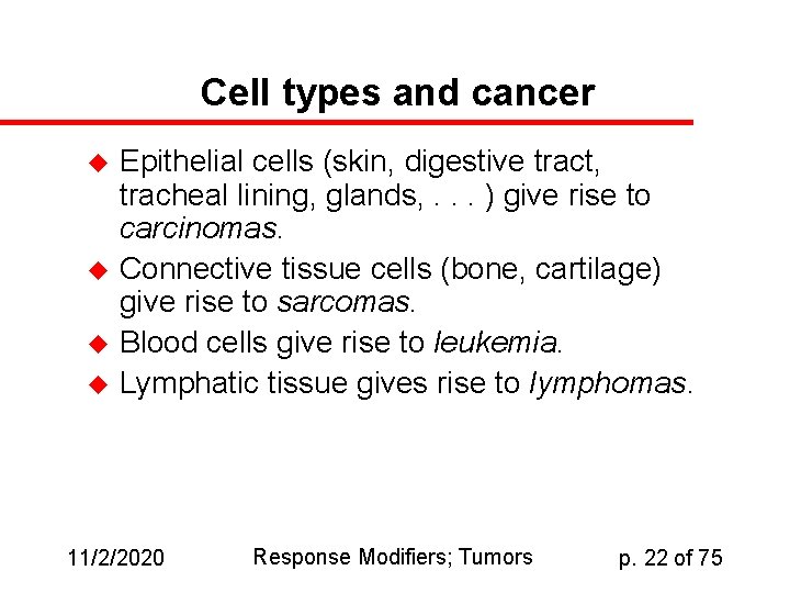 Cell types and cancer u u Epithelial cells (skin, digestive tract, tracheal lining, glands,