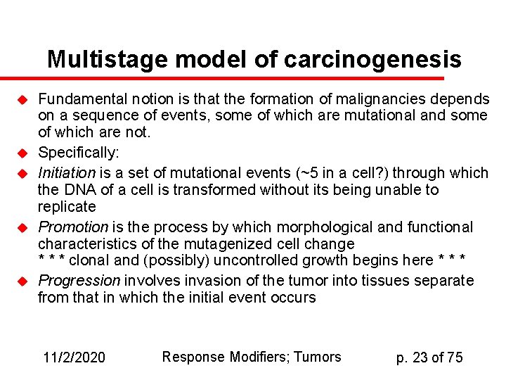 Multistage model of carcinogenesis u u u Fundamental notion is that the formation of