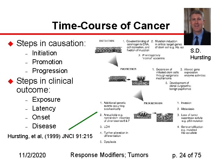 Time-Course of Cancer u Steps in causation: – – – u Initiation Promotion Progression