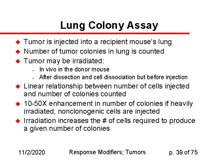 Lung Colony Assay u u u Tumor is injected into a recipient mouse’s lung
