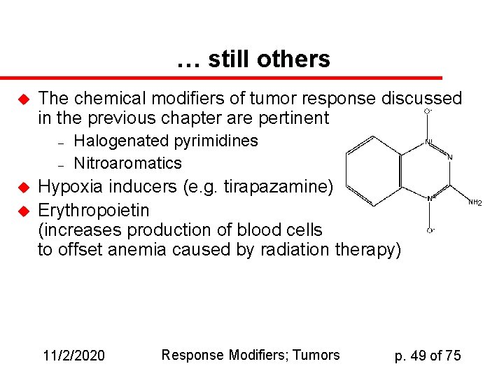 … still others u The chemical modifiers of tumor response discussed in the previous