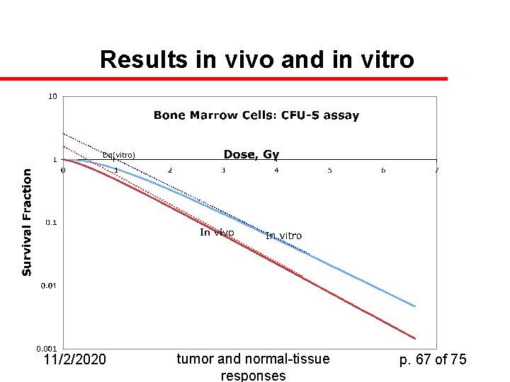 Results in vivo and in vitro 11/2/2020 tumor and normal-tissue responses p. 67 of