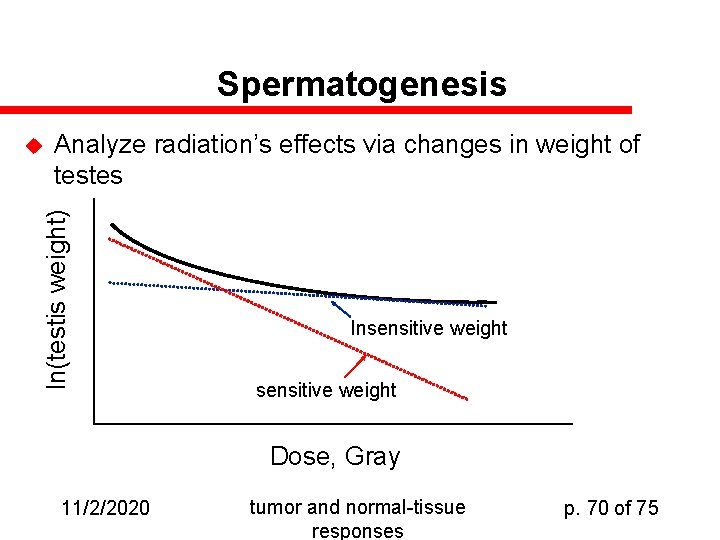 Spermatogenesis Analyze radiation’s effects via changes in weight of testes ln(testis weight) u Insensitive