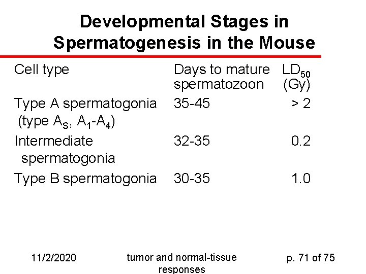 Developmental Stages in Spermatogenesis in the Mouse Cell type Type A spermatogonia (type AS,