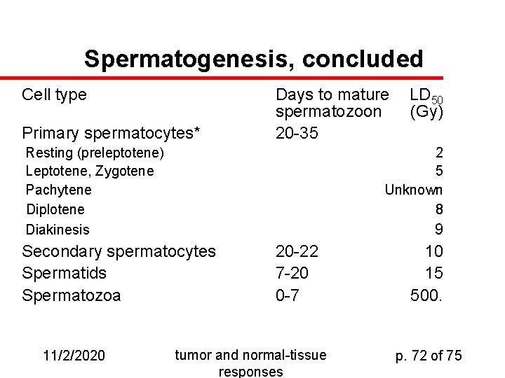 Spermatogenesis, concluded Cell type Primary spermatocytes* Days to mature spermatozoon 20 -35 Resting (preleptotene)