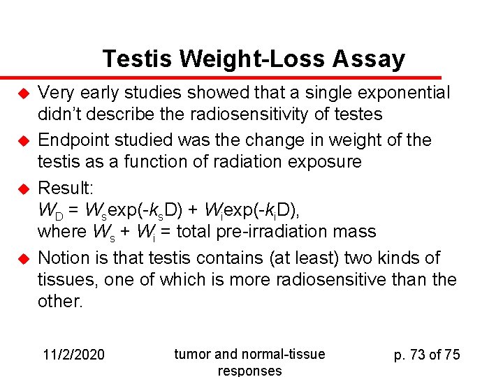 Testis Weight-Loss Assay u u Very early studies showed that a single exponential didn’t