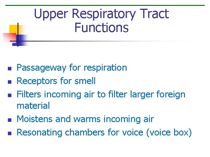 Upper Respiratory Tract Functions n n n Passageway for respiration Receptors for smell Filters