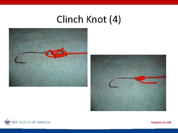 Clinch Knot (4) 