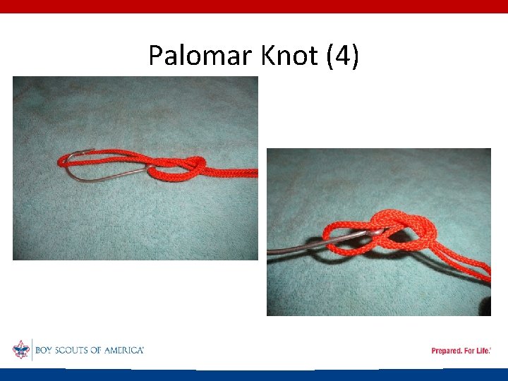 Palomar Knot (4) 