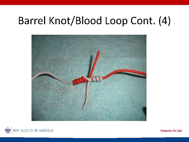 Barrel Knot/Blood Loop Cont. (4) 