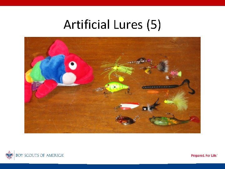 Artificial Lures (5) 