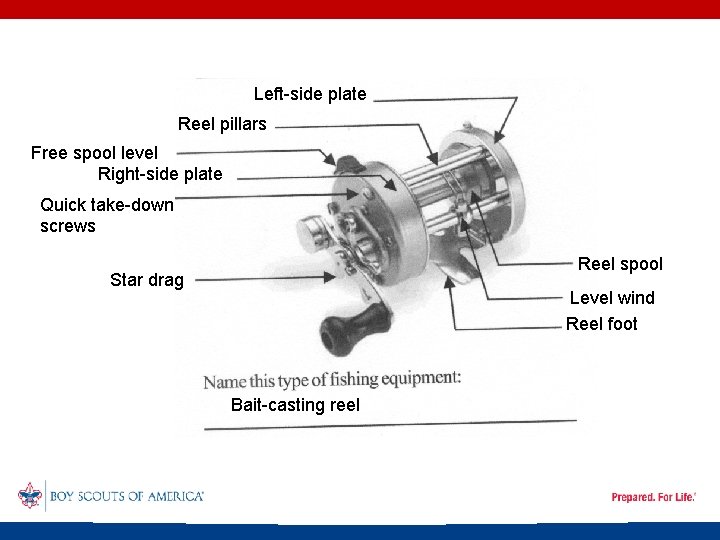 Left-side plate Reel pillars Free spool level Right-side plate Quick take-down screws Reel spool