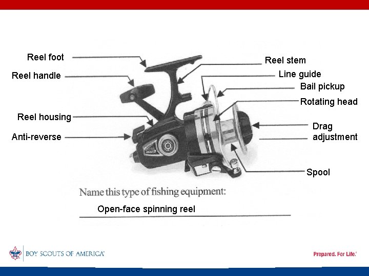 Reel foot Reel stem Line guide Bail pickup Reel handle Rotating head Reel housing