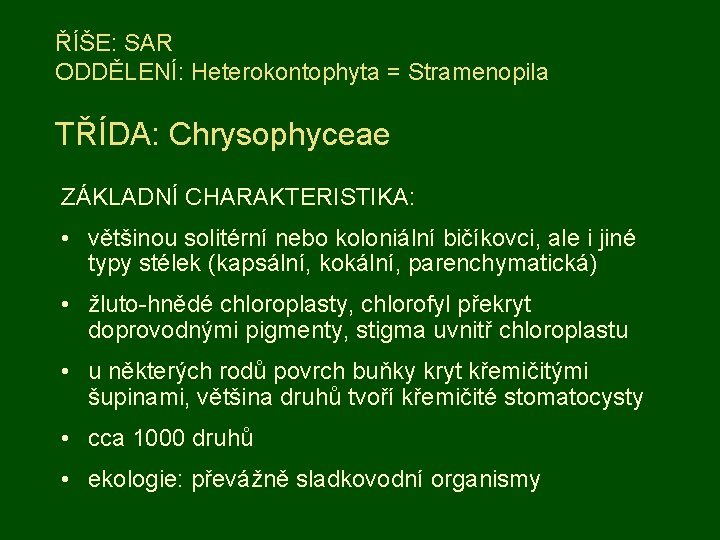 ŘÍŠE: SAR ODDĚLENÍ: Heterokontophyta = Stramenopila TŘÍDA: Chrysophyceae ZÁKLADNÍ CHARAKTERISTIKA: • většinou solitérní nebo