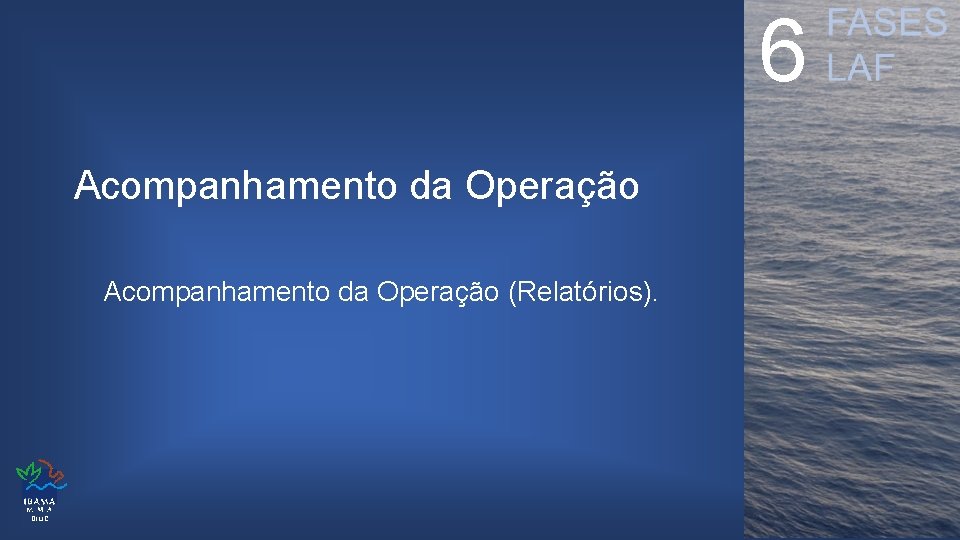 6 Acompanhamento da Operação (Relatórios). DILIC 