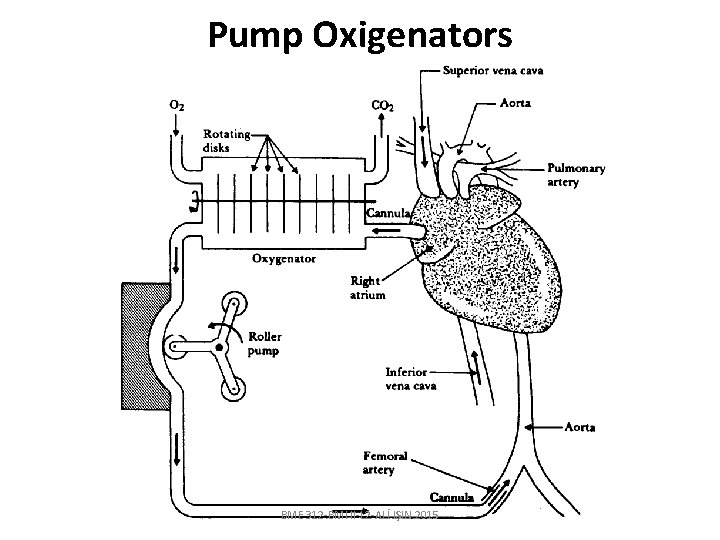 Pump Oxigenators BME 312 -BMI II-L 2 -ALİ IŞIN 2015 