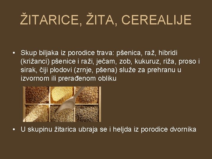 ŽITARICE, ŽITA, CEREALIJE • Skup biljaka iz porodice trava: pšenica, raž, hibridi (križanci) pšenice