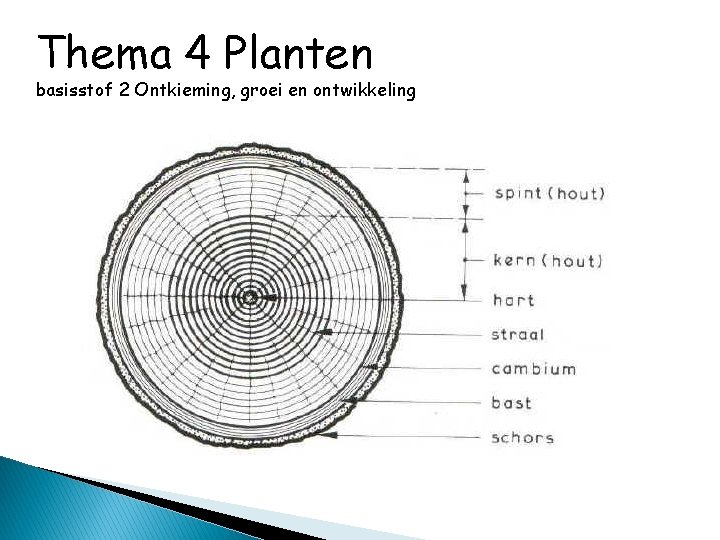 Thema 4 Planten basisstof 2 Ontkieming, groei en ontwikkeling 