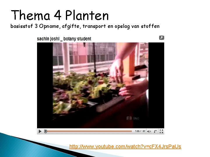 Thema 4 Planten basisstof 3 Opname, afgifte, transport en opslag van stoffen http: //www.