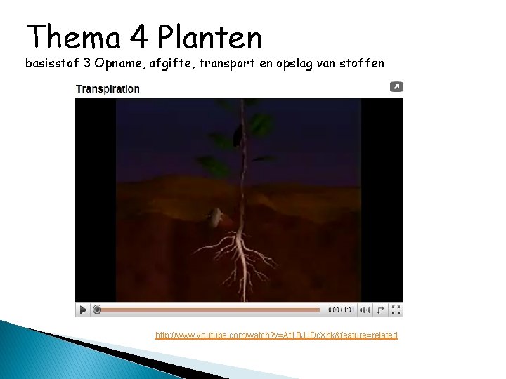 Thema 4 Planten basisstof 3 Opname, afgifte, transport en opslag van stoffen http: //www.