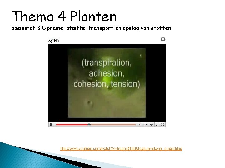 Thema 4 Planten basisstof 3 Opname, afgifte, transport en opslag van stoffen http: //www.