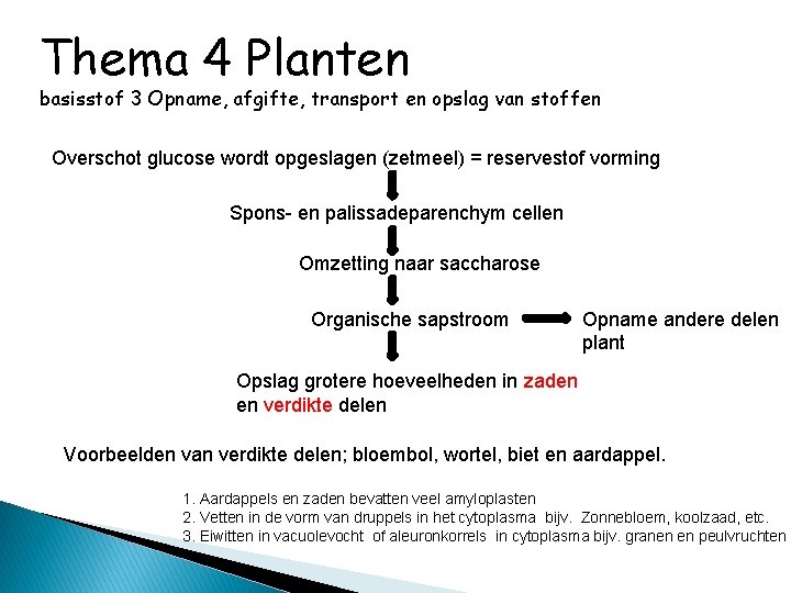 Thema 4 Planten basisstof 3 Opname, afgifte, transport en opslag van stoffen Overschot glucose