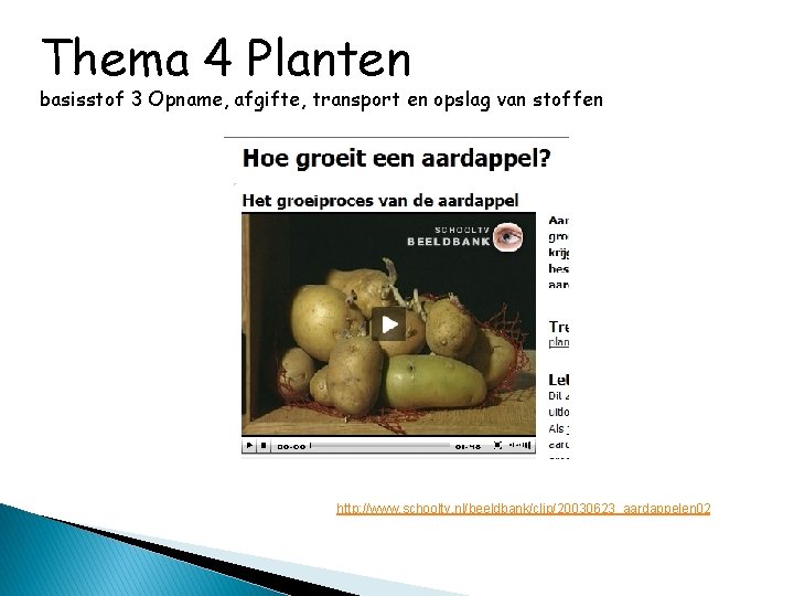 Thema 4 Planten basisstof 3 Opname, afgifte, transport en opslag van stoffen http: //www.