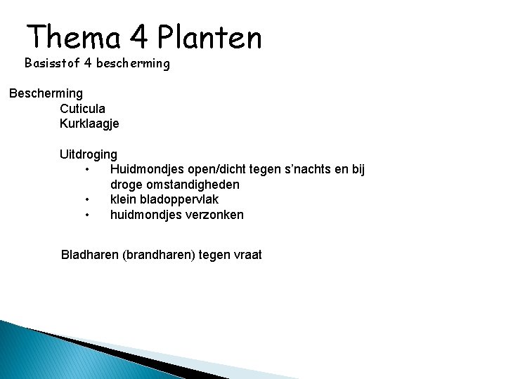 Thema 4 Planten Basisstof 4 bescherming Bescherming Cuticula Kurklaagje Uitdroging • Huidmondjes open/dicht tegen