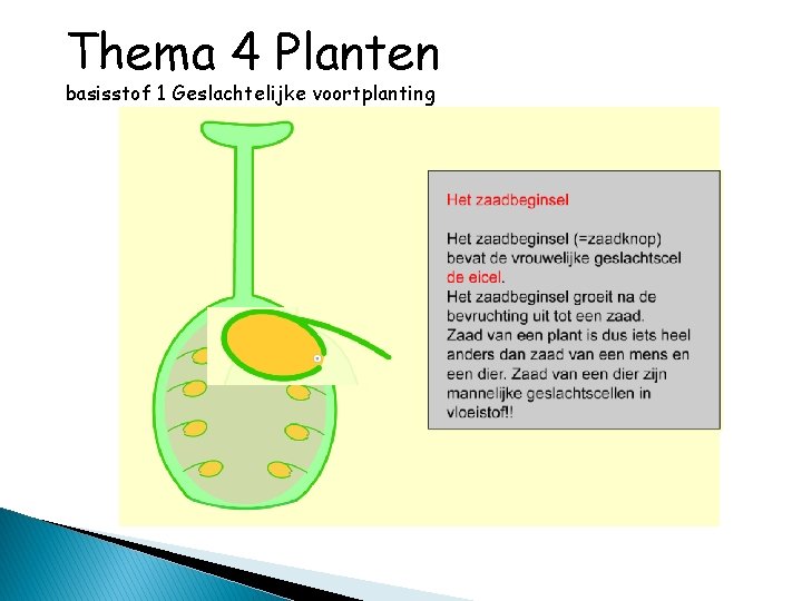 Thema 4 Planten basisstof 1 Geslachtelijke voortplanting 