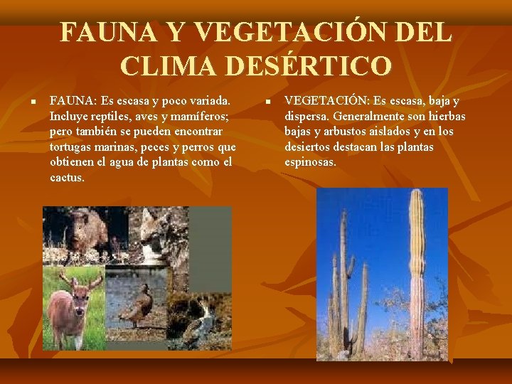FAUNA Y VEGETACIÓN DEL CLIMA DESÉRTICO FAUNA: Es escasa y poco variada. Incluye reptiles,