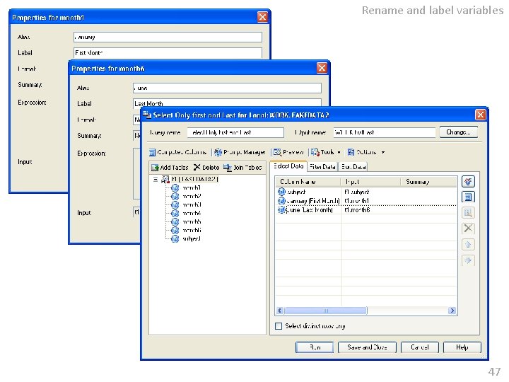 Rename and label variables 47 