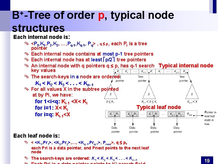 B+-Tree of order p, typical node structures Each internal node is: Ê <P 1,