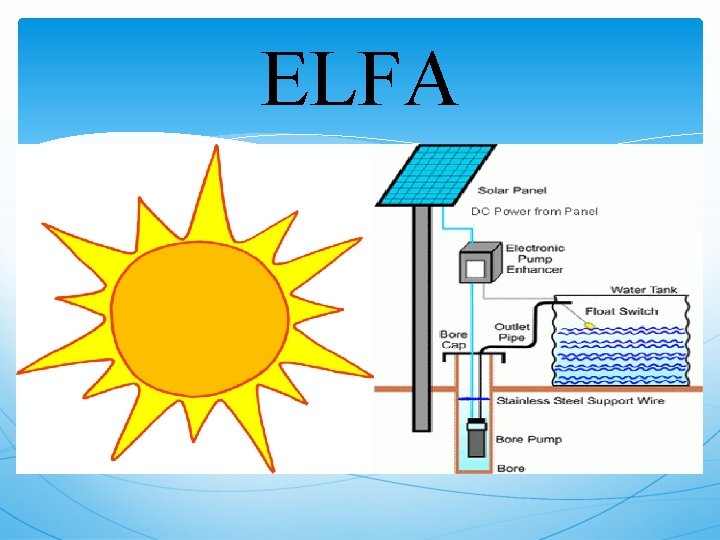 ELFA 