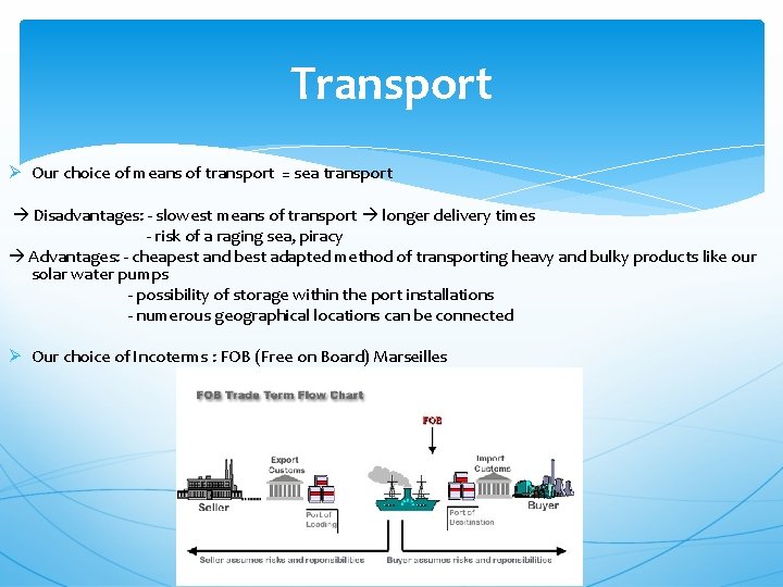 Transport Ø Our choice of means of transport = sea transport Disadvantages: - slowest