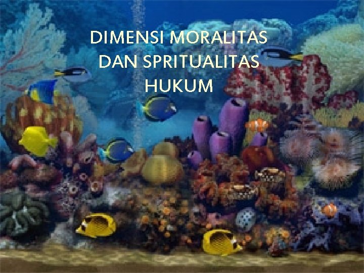 DIMENSI MORALITAS DAN SPRITUALITAS HUKUM 