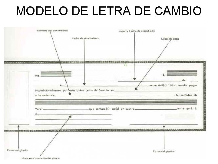 MODELO DE LETRA DE CAMBIO 