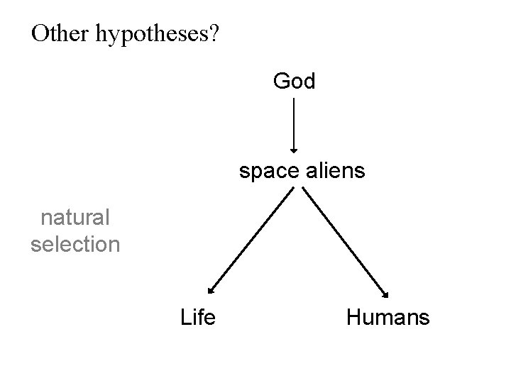 Other hypotheses? God space aliens natural selection Life Humans 