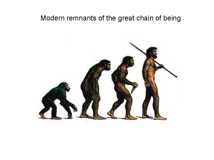 Modern remnants of the great chain of being 